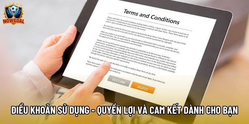 Điều Khoản Sử Dụng - Quyền Lợi Và Cam Kết Dành Cho Bạn